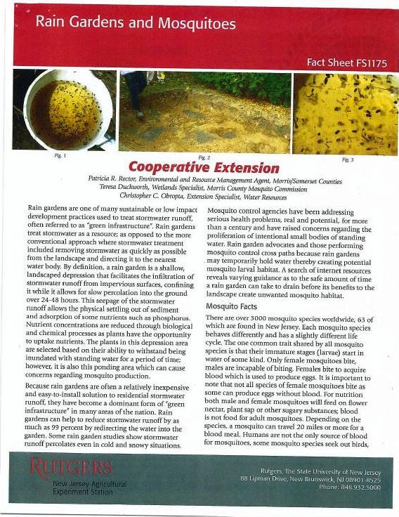 Rain Gardens and Mosquitoes